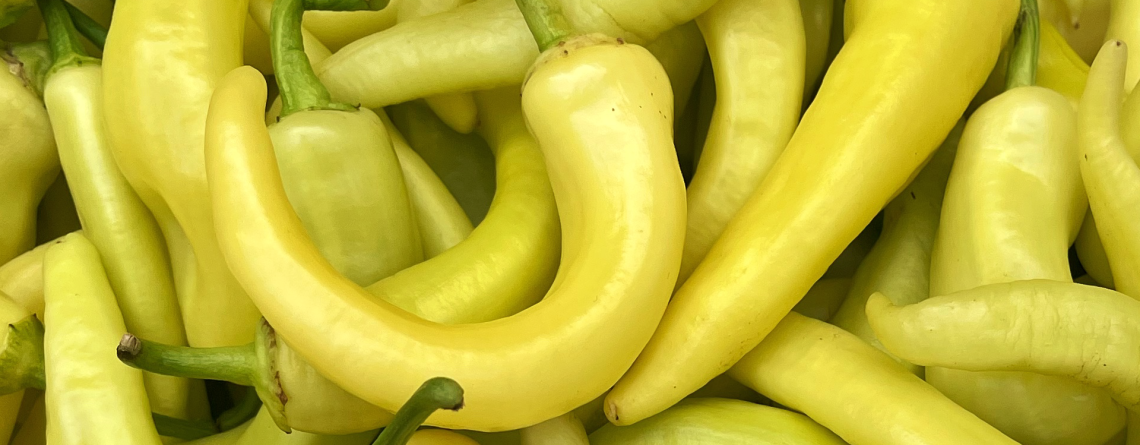 Ají cristal: sabor y carácter para tu huerta doméstica