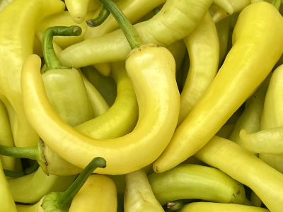 Ají cristal: sabor y carácter para tu huerta doméstica