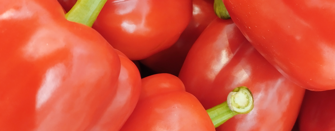 Pimentón Asti: color, sabor y rendimiento en tu huerta urbana