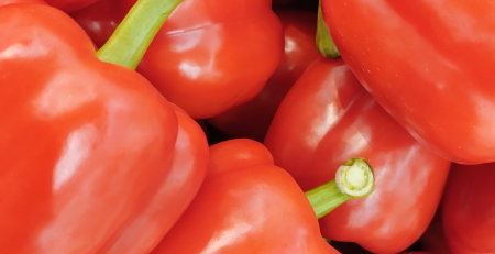 Pimentón Asti: color, sabor y rendimiento en tu huerta urbana