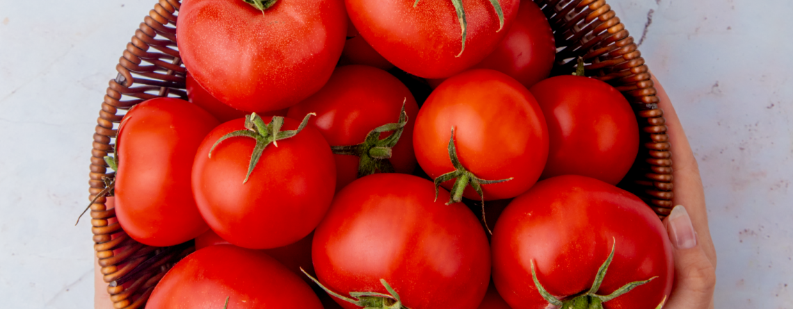 Tomate Cal Ace: producción abundante para huertas familiares