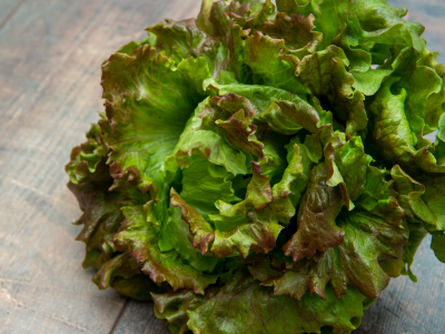 Cómo cuidar la lechuga en verano y lograr hojas frescas por más tiempo