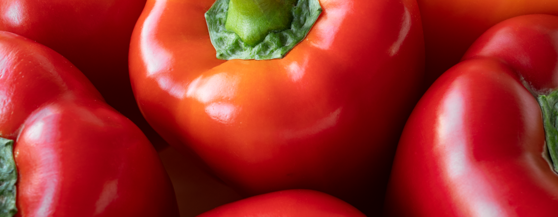 Pimentón en casa: claves para obtener frutos grandes y dulces
