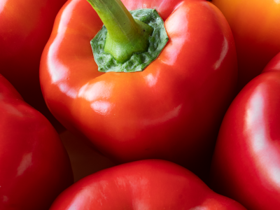 Pimentón en casa: claves para obtener frutos grandes y dulces