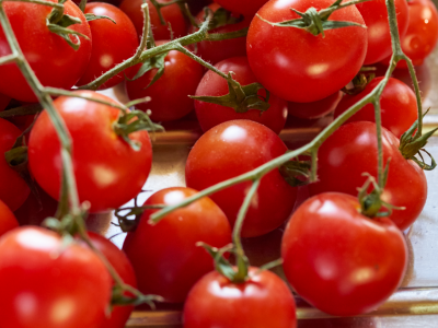 Tomate cherry: cómo lograr plantas sanas y racimos llenos de sabor