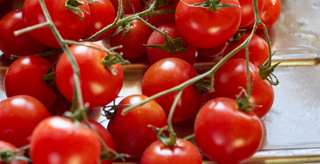 Tomate cherry: cómo lograr plantas sanas y racimos llenos de sabor