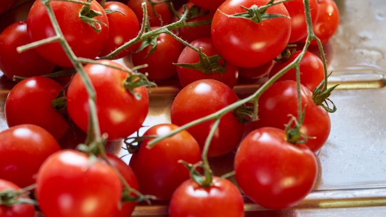 Tomate cherry: cómo lograr plantas sanas y racimos llenos de sabor